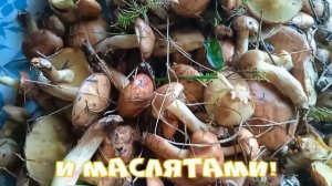 Нижний Енангск 2022