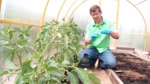 КОНСУЛЬТАНТ САДОВОДА 20