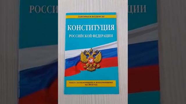 Ст. 101 Конституции РФ