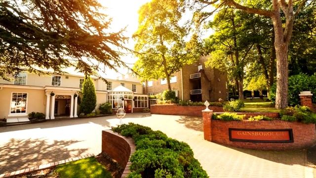 Мускулы этого кота сделали его настоящей звездой интернета смотреть онлайн