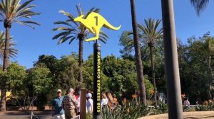 Things to do at the SAN DIEGO ZOO