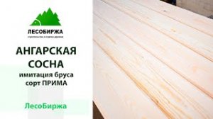Что такое сорт Прима в ангарской сосне