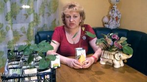 ДОЛИХОС- РАССАДА..