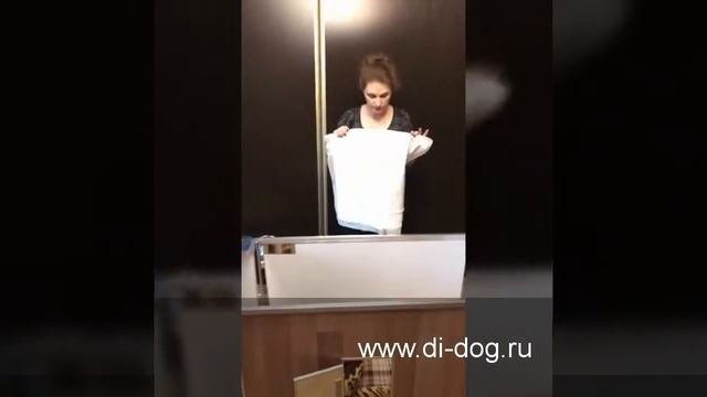 Обустраиваем вольер для щенков