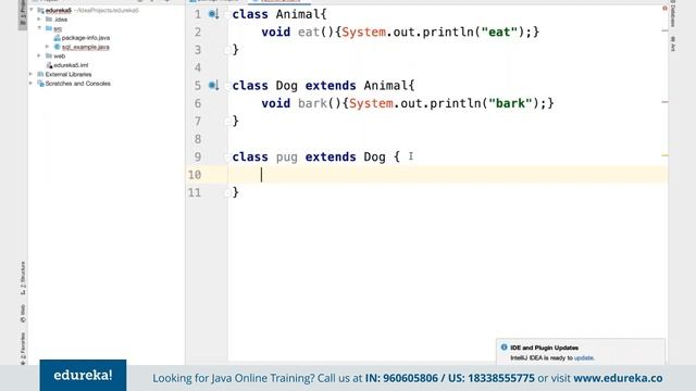 Java Live 1 Java OOPs Tutorial Object Oriented Programming Java Training Edureka смотреть онлайн