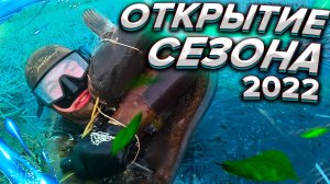 ПОДВОДНАЯ ОХОТА ВЕСНА 2022г.