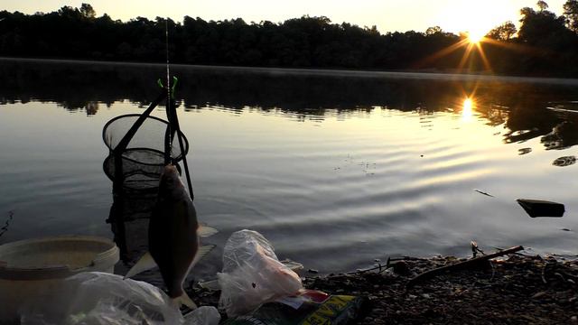 Подлещик, плотва, густера на рассвете, рыбалка в приятной компании смотреть онлайн