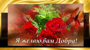 Желаю Вам