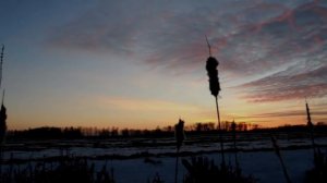 Как фотографировать закат? Этот прием улучшит твои снимки.
