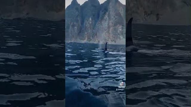 Уникальные кадры