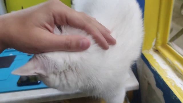 Honor 10 Замена модуля. смотреть онлайн