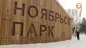 Прямой эфир главы Ноябрьска