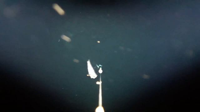 Descending the Abyss - Discesa negli abissi - Hook-Eye Sportfishing Camera