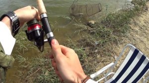 Ловля Дикого Карася, Карпа и Сазана в Калмыкии