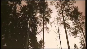 Анна Ахматова Меня как реку