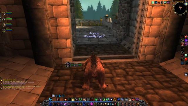 Feral Druid tanking Old Hillsbrad (N) commentary (TBC classic) смотреть онлайн