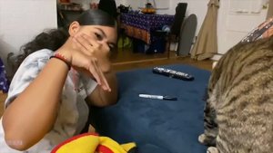 Смешные нарезки, смешные дети животные