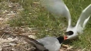 Региональный ландшафтный парк Меотида