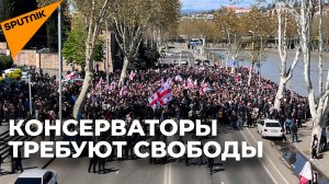 Сторонники "Альт-Инфо" провели крупную акцию протеста в центре Тбилиси