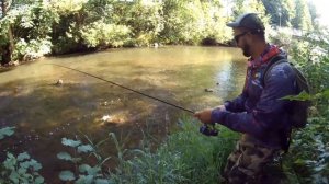 Огромные голавли/Большая ручьевая форель и окунь переросток. Спиннинг на малой реке