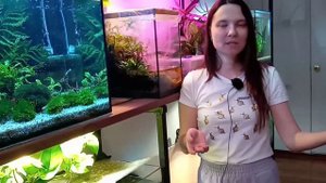 Светильники в моих аквариумах