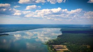 Поздравляем с Днем работников леса!