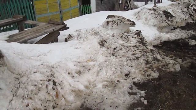 Снег и грязь...//Зима и весна...//наши будни#27//деревенская жизнь смотреть онлайн