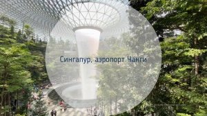 Круиз из Сингапура по Юго-восточной Азии в феврале 2022 года. Вьетнам, Таиланд и о.Бинтан в деле!