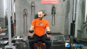 Ошибки жима гантелей сидя