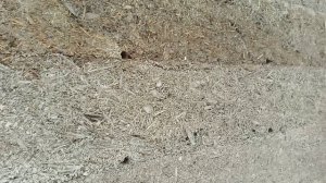 ГАРАЖ ИЗ АРБОЛИТА.ЗАЛИВАЕМ ПОСЛЕДНИЙ РЯД.