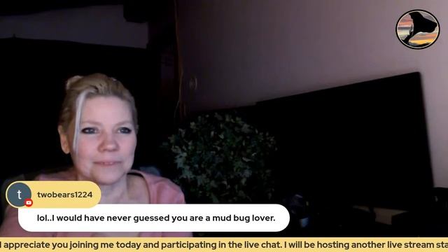 Join Me for a Live Stream from My Remote Alaska Cabin смотреть онлайн