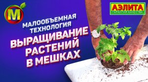 Выращивание овощных культур в мешках ПО МЕТОДУ МАЛООБЪЕМНОЙ ТЕХНОЛОГИИ