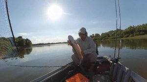 Сом на Квок, Ахтуба 2019 и мой первый трофейчик на десяточку