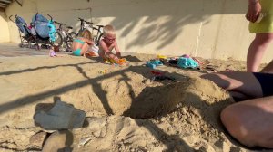 Раскопки динозавров.