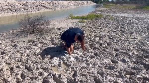 GRINGA EN MEXICO: TUR POR RÍO LAGARTOS! Vimos cocodrilos y flamencos!