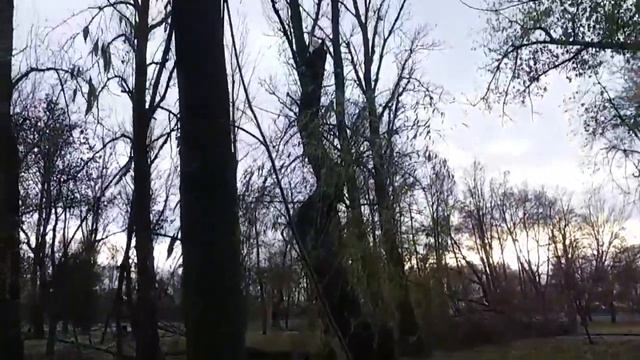 Листья жёлтые над городом кружатся... смотреть онлайн