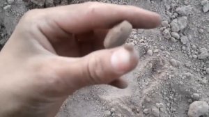 раскапываю царский магазин!!!Металлоискатель нокта макро симплекс плюс!!