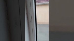 Убираем старые клеевые пятна от скотча с пластика или стекол