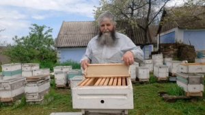 Метод Стоянова. Гомогенат из трутневых личинок ! биологический метод борьбы с клещом.
