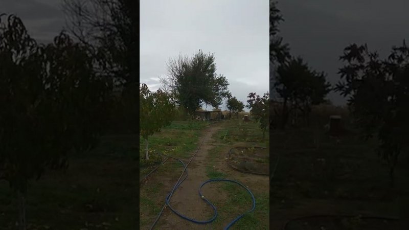 Южный сад.Осень про нас забыла,у нас продолжается лето