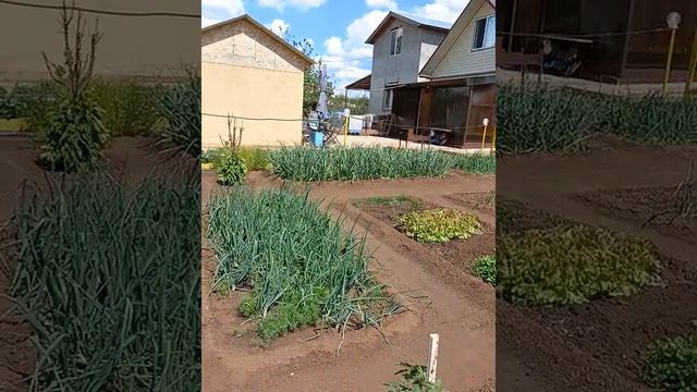 моя дача смотреть онлайн