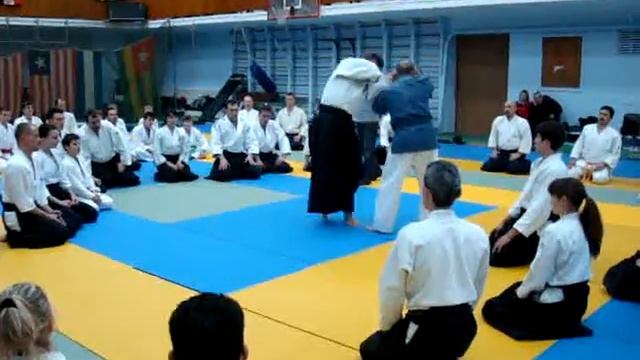 aikido