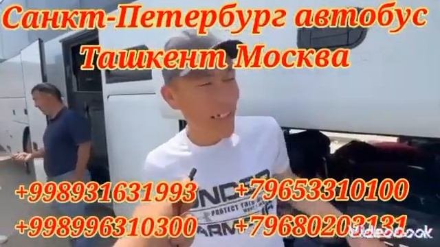 Россия Узбекистан такси москва-ташкент автобус санкт-петербург-ташкент автобус!! #такси
