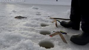 ВЕСЬ ДЕНЬ НА РЕКЕ / РЫБАЛКА НА СИГА И ХАРИУСА / ПРОВЕРКА ПРОДОЛЬНИКОВ