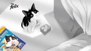 FELIX® SENSATIONS в Удивительном Соусе Мульт-реклама Для Детей Домашные Животные