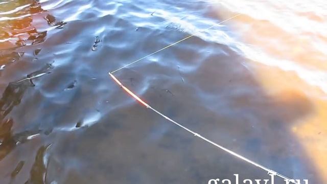 Весенняя ловля плотвы на донку. Рыбинское море, река Ухра смотреть онлайн