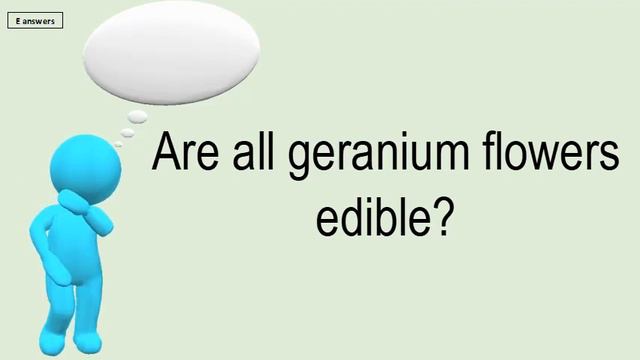 Are All Geranium Flowers Edible? смотреть онлайн