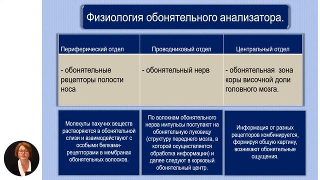 Биология, 11-й класс, Обонятельный анализатор и обонятельные раздражители
