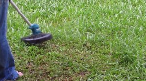 Makita cordless UR100D 10.8 ~12 Volt Grass Trimmer (cutter) review