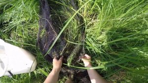Убийца паука и кастинговой сети. Бредень. Невод. Лампара.